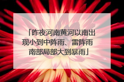 昨夜河南黄河以南出现小到中阵雨、雷阵雨 南部局部大到暴雨