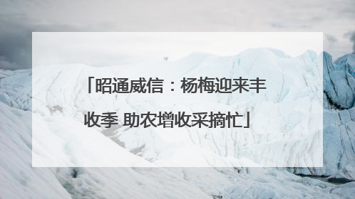 昭通威信：杨梅迎来丰收季 助农增收采摘忙