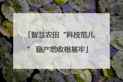 智慧农田“科技范儿” 稳产增收根基牢
