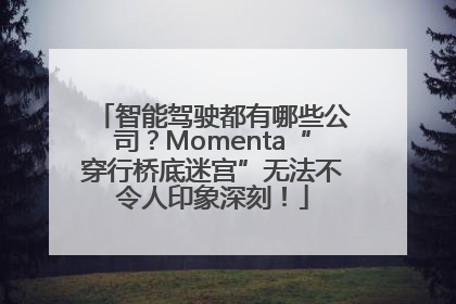 智能驾驶都有哪些公司？Momenta“穿行桥底迷宫”无法不令人印象深刻！