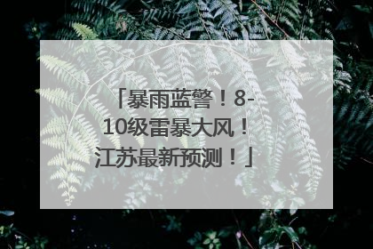 暴雨蓝警！8-10级雷暴大风！江苏最新预测！