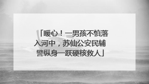 暖心！一男孩不慎落入河中，苏仙公安民辅警纵身一跃硬核救人