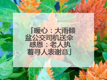暖心：大雨倾盆公交司机送伞 感恩：老人执着寻人表谢意