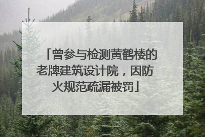 曾参与检测黄鹤楼的老牌建筑设计院，因防火规范疏漏被罚