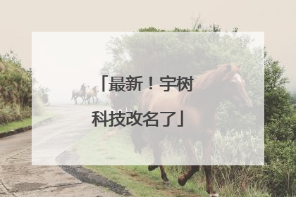 最新！宇树科技改名了
