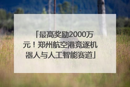 最高奖励2000万元！郑州航空港竞逐机器人与人工智能赛道