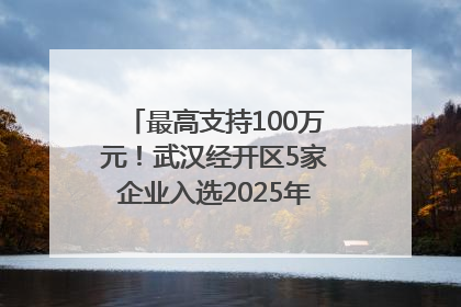 最高支持100万元！武汉经开区5家企业入选2025年度武汉市重点研发计划拟立项项目名单