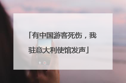 有中国游客死伤，我驻意大利使馆发声