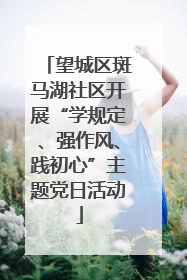 望城区斑马湖社区开展“学规定、强作风、践初心”主题党日活动