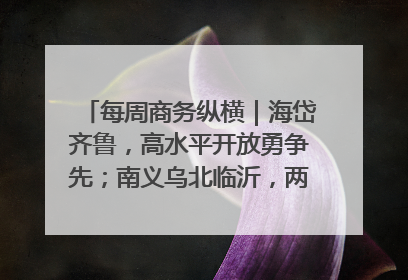 每周商务纵横｜海岱齐鲁，高水平开放勇争先；南义乌北临沂，两扇窗里观外贸