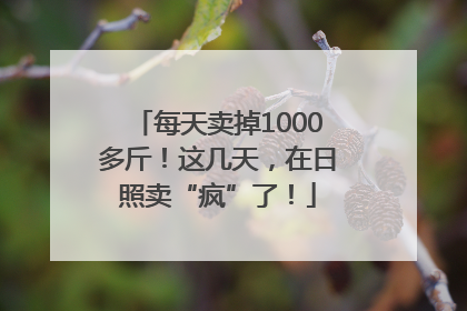 每天卖掉1000多斤！这几天，在日照卖“疯”了！