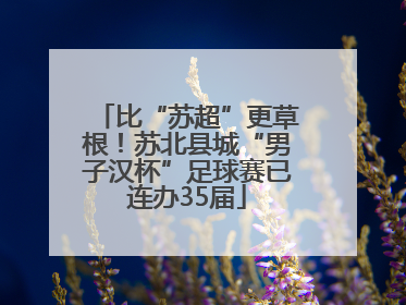 比“苏超”更草根！苏北县城“男子汉杯”足球赛已连办35届