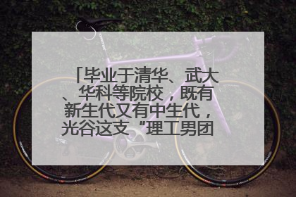 毕业于清华、武大、华科等院校，既有新生代又有中生代，光谷这支“理工男团”为何“出道”？