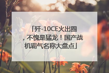 歼-10CE火出圈，不愧是猛龙！国产战机霸气名称大盘点