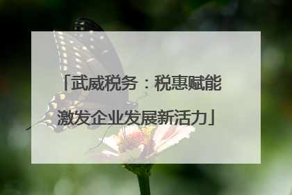 武威税务：税惠赋能 激发企业发展新活力