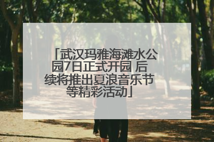 武汉玛雅海滩水公园7日正式开园 后续将推出夏浪音乐节等精彩活动