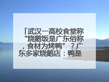 武汉一高校食堂称“烧鹅饭是广东俗称，食材为烤鸭”？广东多家烧鹅店：鸭是鸭鹅是鹅
