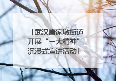武汉唐家墩街道开展“三大精神”沉浸式宣讲活动