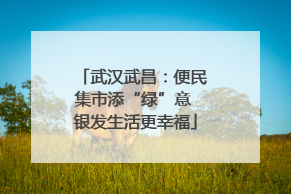 武汉武昌：便民集市添“绿”意 银发生活更幸福