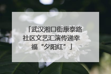 武汉湘口街康泰路社区文艺汇演传递幸福“夕阳红”