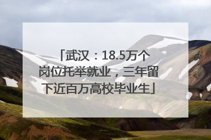 武汉：18.5万个岗位托举就业，三年留下近百万高校毕业生