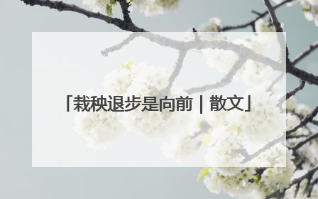 栽秧退步是向前｜散文