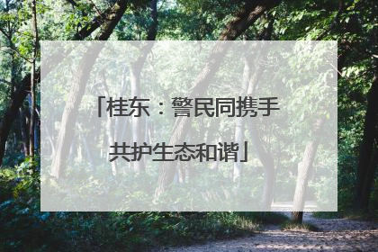 桂东：警民同携手 共护生态和谐