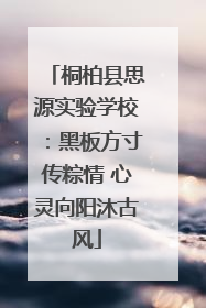 桐柏县思源实验学校：黑板方寸传粽情 心灵向阳沐古风