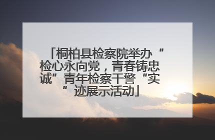 桐柏县检察院举办“检心永向党，青春铸忠诚”青年检察干警“实”迹展示活动