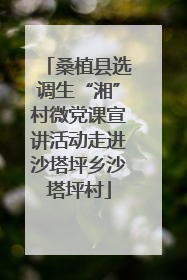 桑植县选调生“湘”村微党课宣讲活动走进沙塔坪乡沙塔坪村