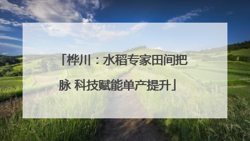 桦川：水稻专家田间把脉 科技赋能单产提升