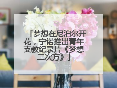 梦想在尼泊尔开花，宁诺推出青年支教纪录片《梦想二次方》