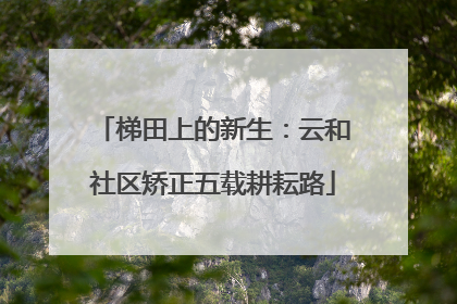 梯田上的新生：云和社区矫正五载耕耘路
