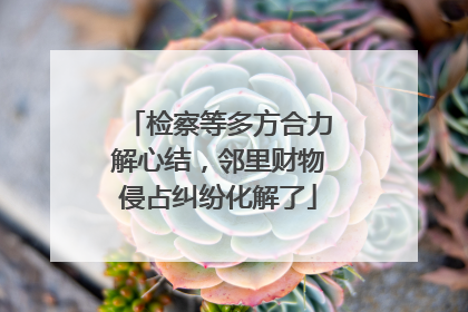 检察等多方合力解心结，邻里财物侵占纠纷化解了