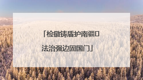 检徽铸盾护南疆 法治强边固国门