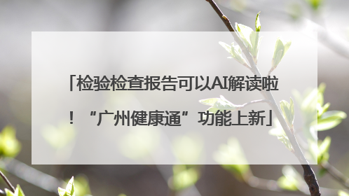 检验检查报告可以AI解读啦！“广州健康通”功能上新