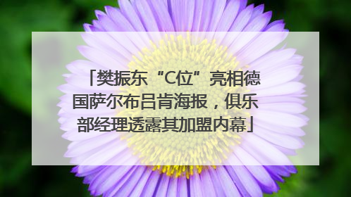 樊振东“C位”亮相德国萨尔布吕肯海报，俱乐部经理透露其加盟内幕
