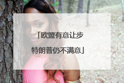 欧盟有意让步 特朗普仍不满意