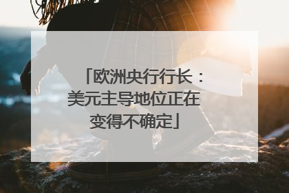 欧洲央行行长：美元主导地位正在变得不确定