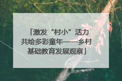 激发“村小”活力 共绘多彩童年——乡村基础教育发展观察