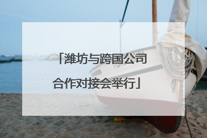 潍坊与跨国公司合作对接会举行