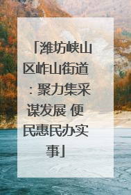 潍坊峡山区岞山街道：聚力集采谋发展 便民惠民办实事