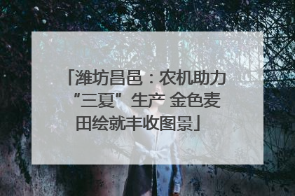 潍坊昌邑：农机助力“三夏”生产 金色麦田绘就丰收图景