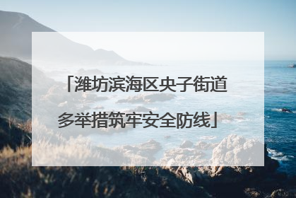潍坊滨海区央子街道多举措筑牢安全防线