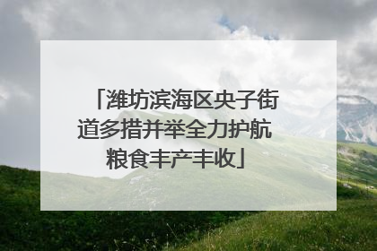 潍坊滨海区央子街道多措并举全力护航粮食丰产丰收