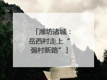 潍坊诸城：岳西村走上“强村新路”