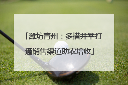 潍坊青州：多措并举打通销售渠道助农增收