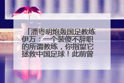 潘粤明炮轰国足教练伊万：一个装傻不辞职的所谓教练，你指望它拯救中国足球！此前曾多次发文评价国足