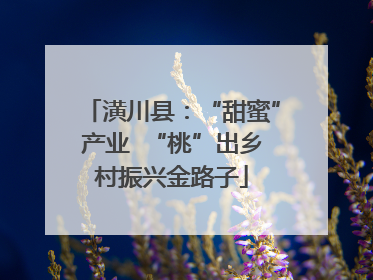 潢川县：“甜蜜”产业  “桃”出乡村振兴金路子