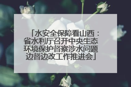 水安全保障看山西：省水利厅召开中央生态环境保护督察涉水问题边督边改工作推进会